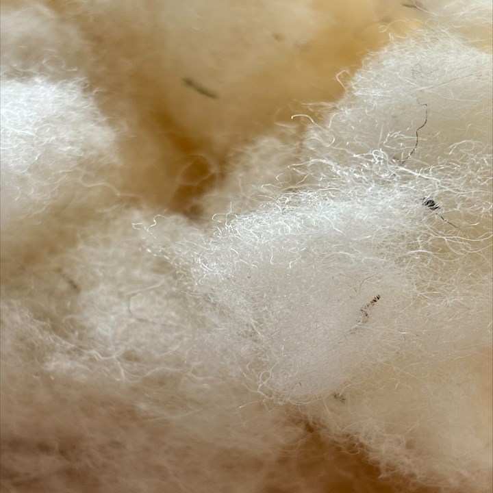 Eco Lush Wool filling